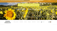 Desktop Screenshot of angelucci.com