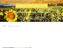 Tablet Screenshot of angelucci.com